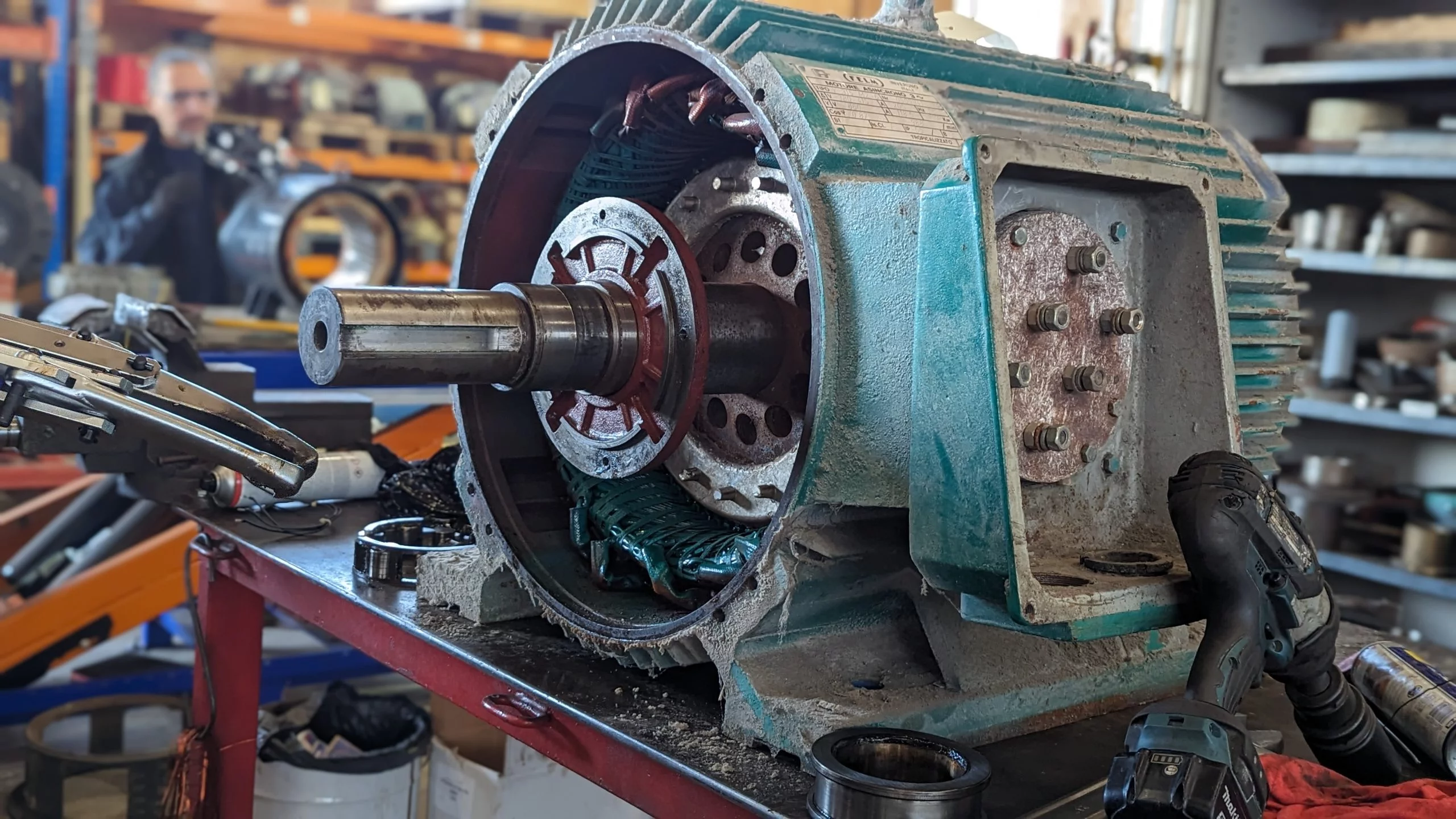 PXL_20240131_084149232.PORTRAIT-scaled